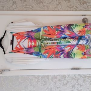 Anthropologie Rana Gill knee length dress